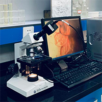 环保技术征询服务